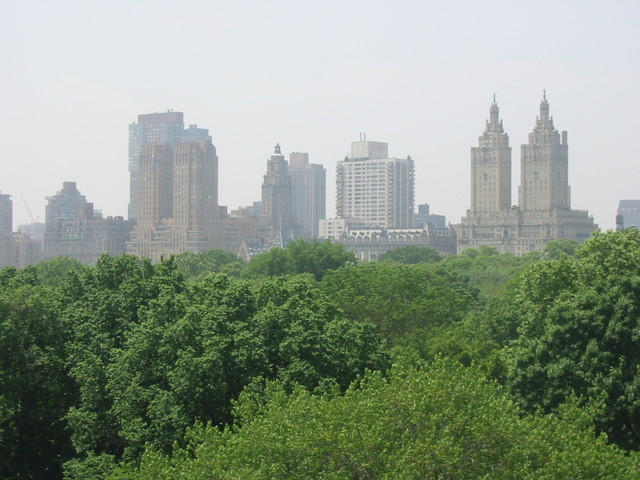 View from the Met