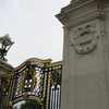 Buckingham gates