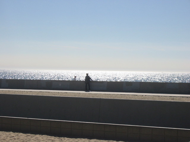 Venice beach