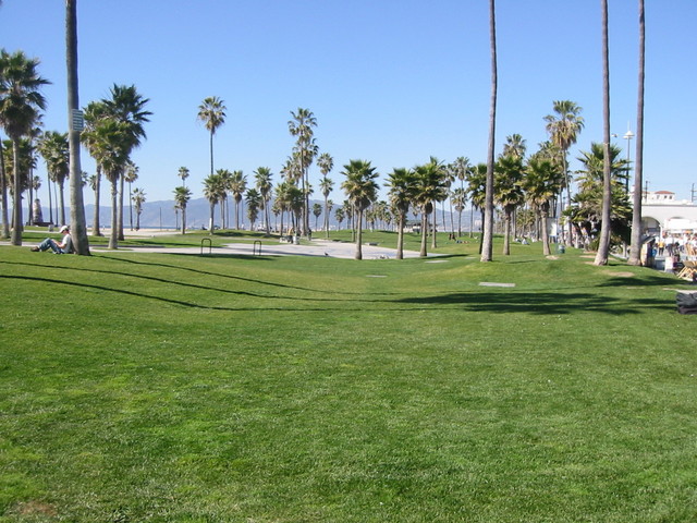 Venice beach