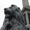 Lion at Trafalgar Square