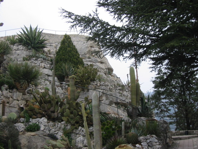 Eze cactus gardens