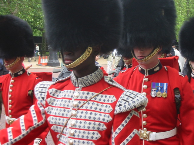 Palace Guards