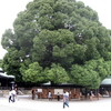 Meiji shrine