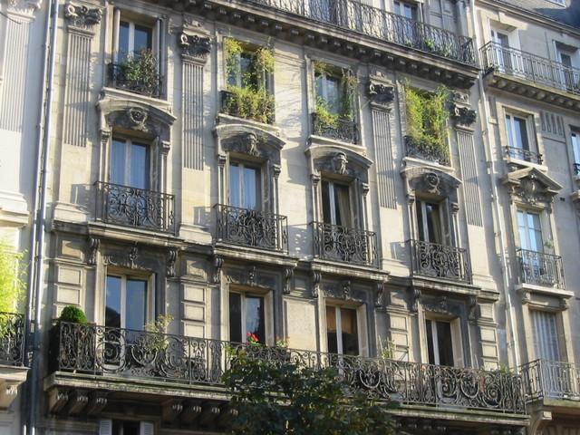 Parisian windows