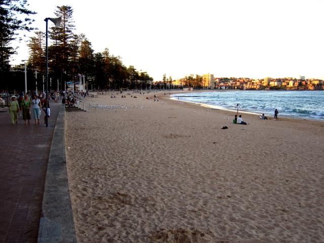 Manly beach