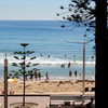 Manly beach